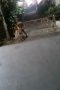 245c13738d31572635861fae923bc9c6.jpeg