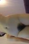 6abfcd958117cda757a12d5c9325390b.jpeg