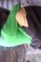 bd0a3c588fa6b297f636aebded9356f7.jpeg